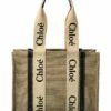 Chloé Woody Medium Canvas & Leather Tote Women Totes